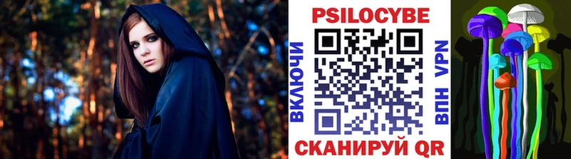 Купить  Холм  Галлюциногенные грибы Cubensis 